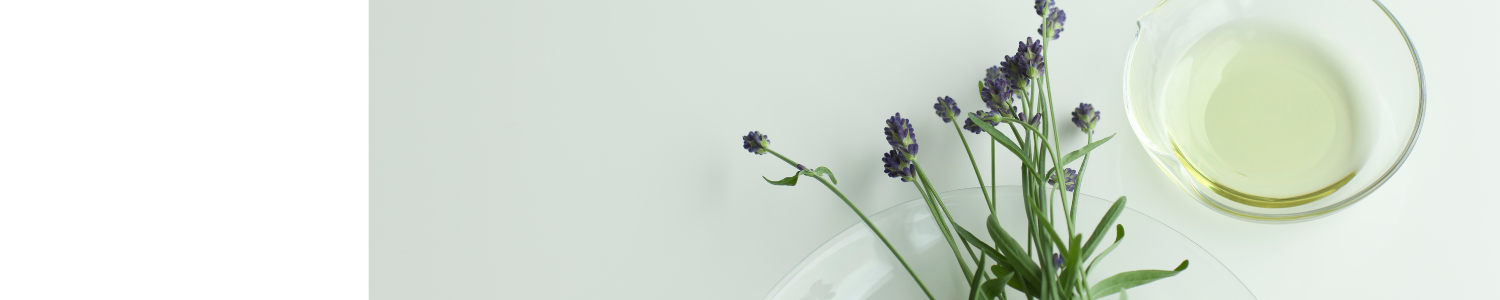 Diseno_sin_titulo_-_2024-01-09T145731.480.png