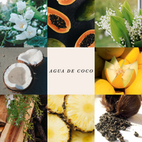 Room Spray Agua de Coco 375 ml