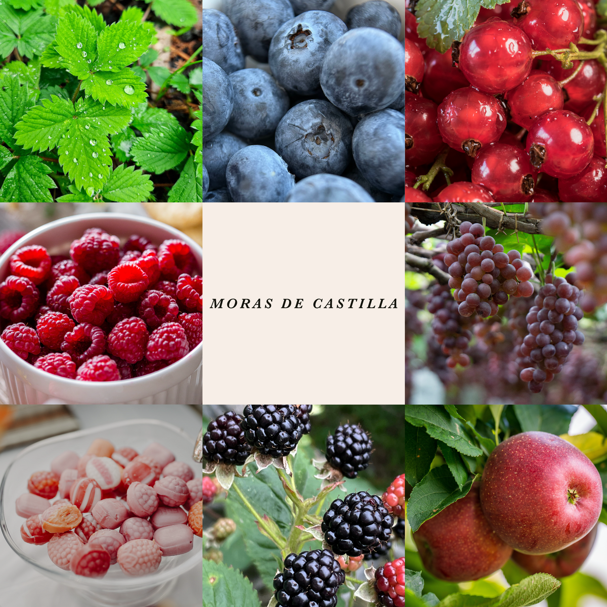 Difusor Varitas Moras de Castilla 130 ml