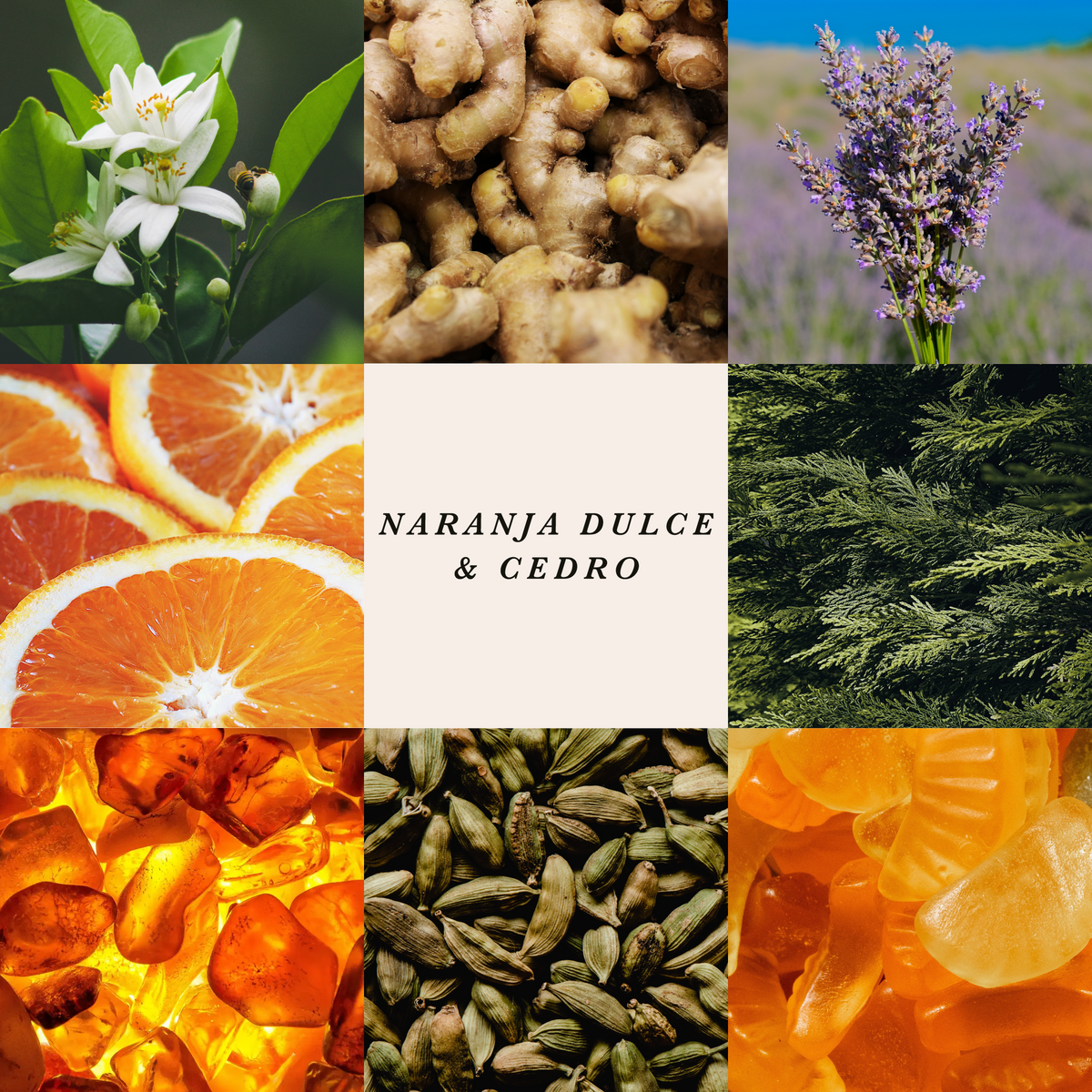 Difusor Varitas Naranja Dulce & Cedro 130 ml