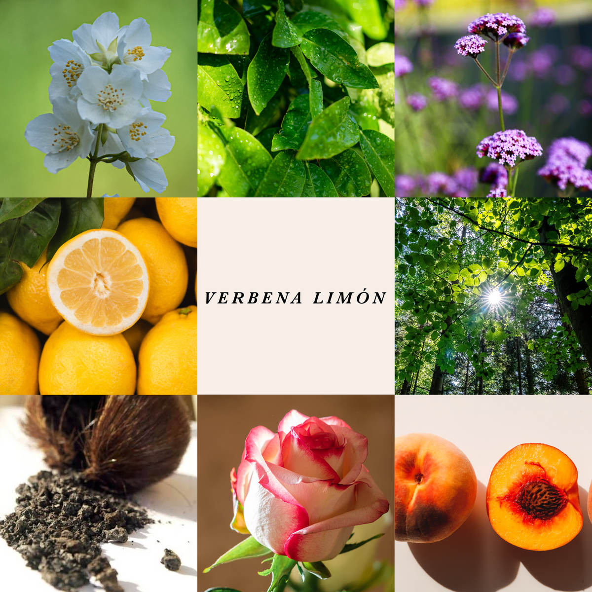 Room Spray Verbena & Limon 375 ml